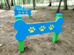 Dog Park w Starachowicach 