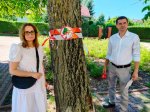 Protest przeciwko wycince drzew w Starachowicach